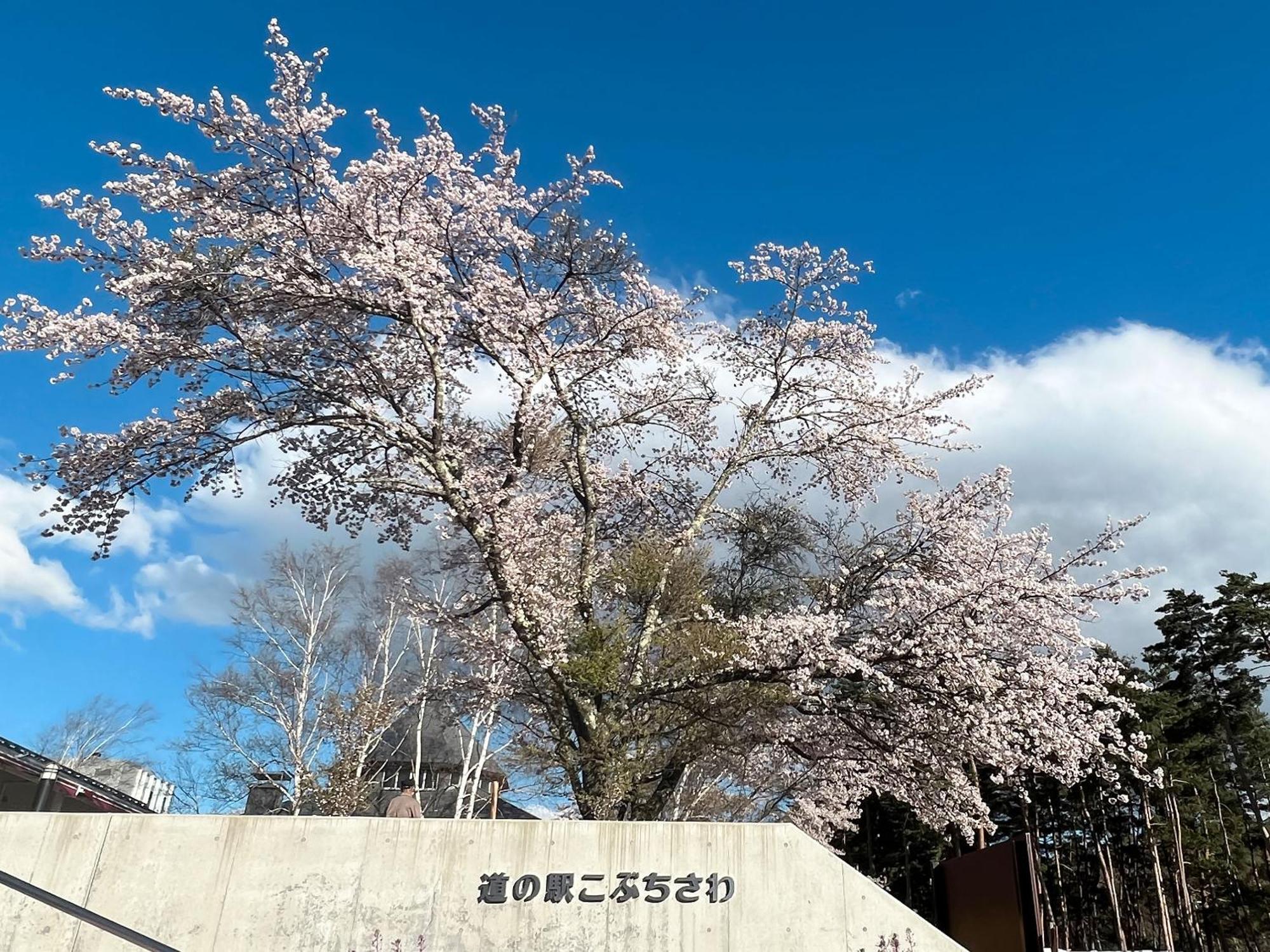 Rakuten Stay Villa Yatsugatake Hokuto  Exterior foto