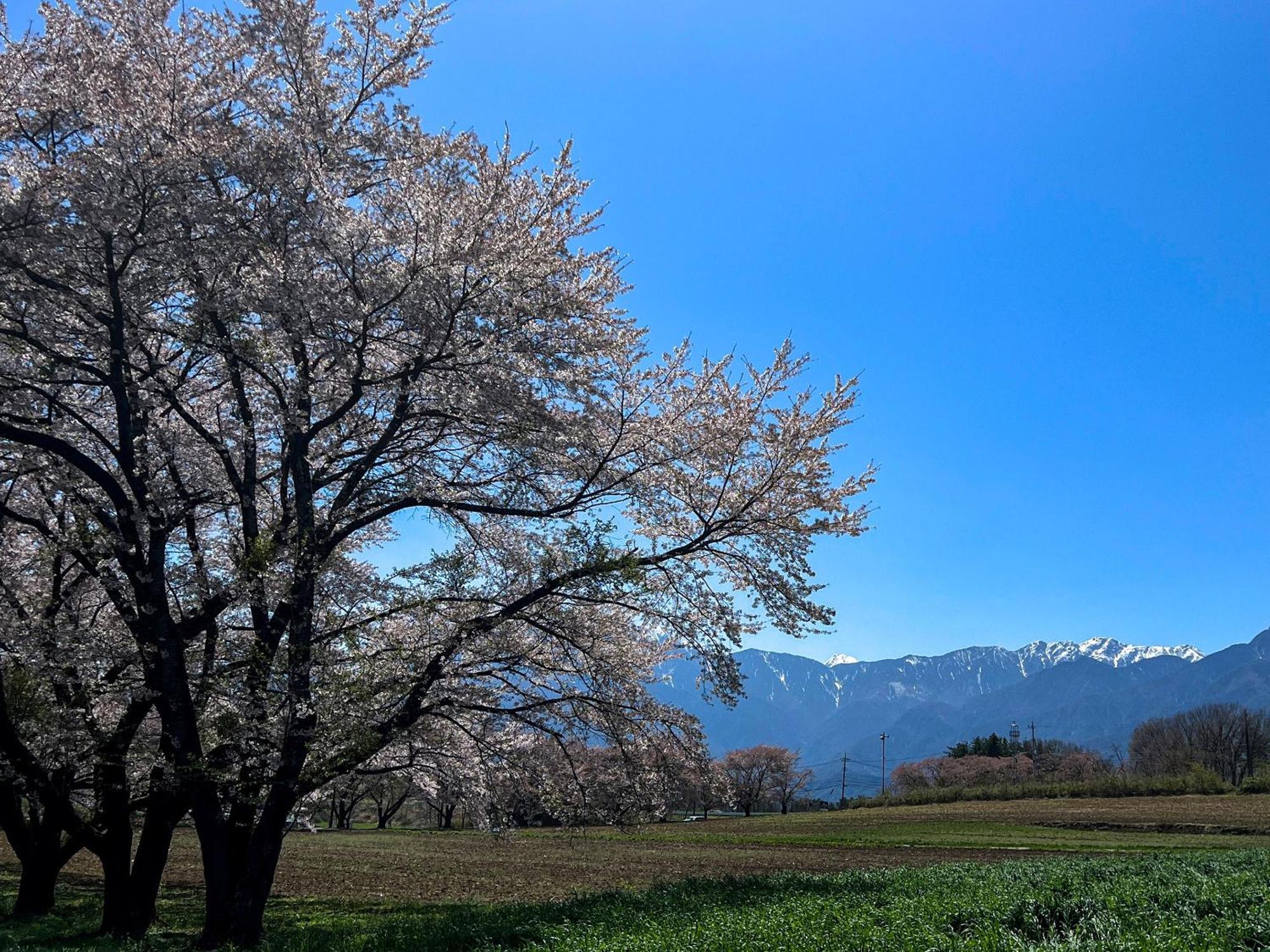 Rakuten Stay Villa Yatsugatake Hokuto  Exterior foto